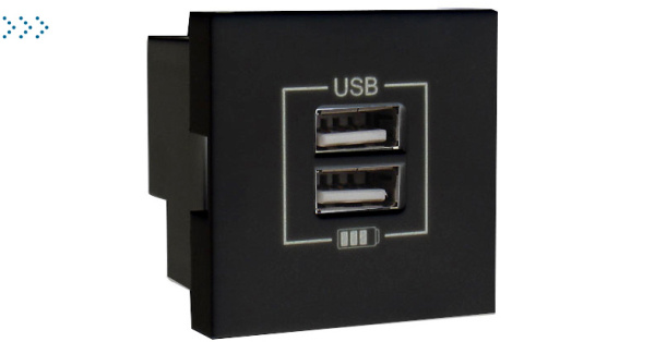 Двойная USB розетка, цвет черный Двойная USB розетка, цвет черный